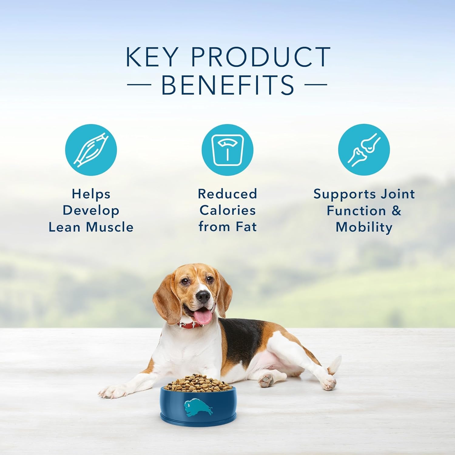 Blue Buffalo Life Protection Formula Adult Dry Dog Food, Helps Build and Maintain Strong Muscles, Made with Natural Ingredients, Fish & Brown Rice Recipe, 30-Lb. Bag