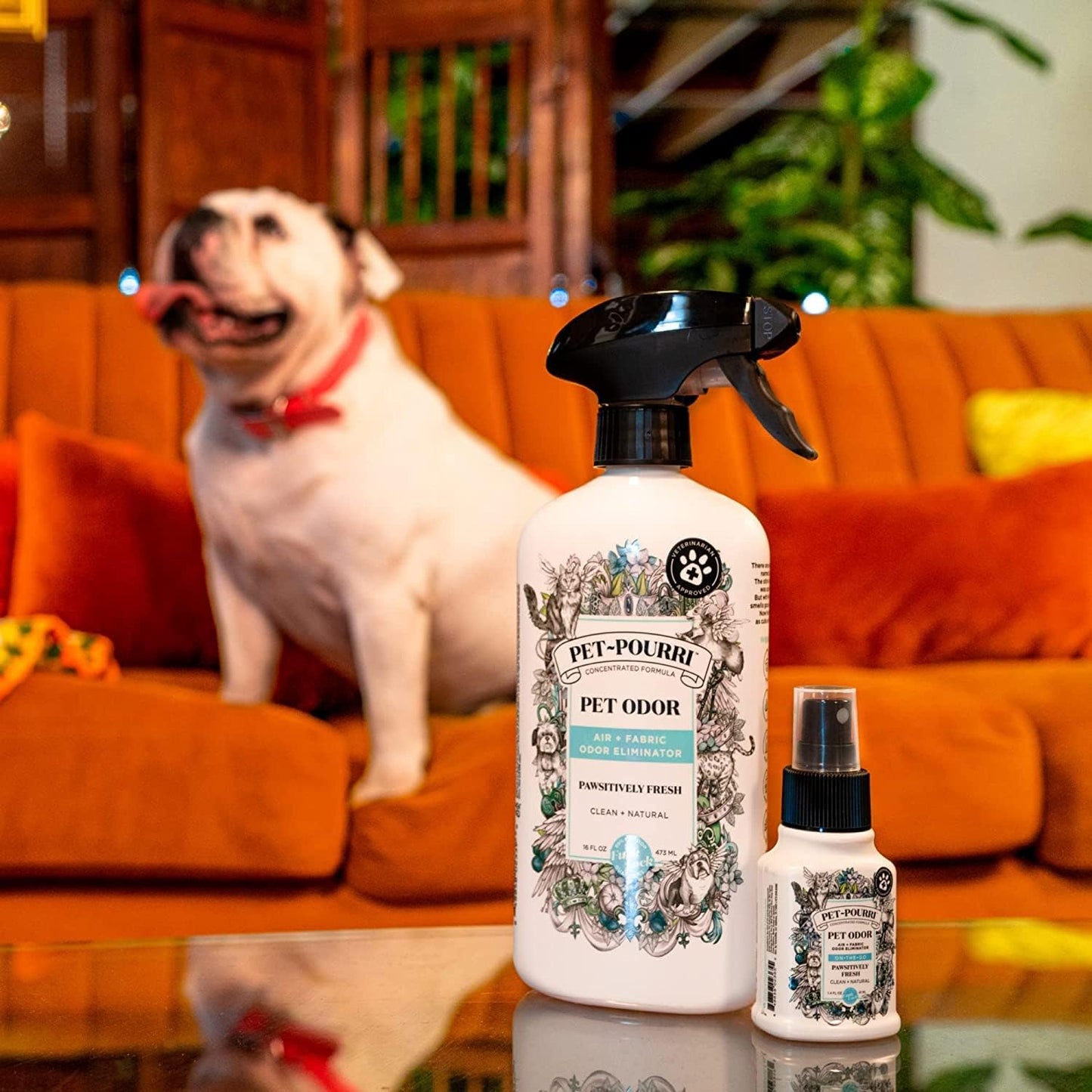 Pet-Pourri Pet Odor Air + Fabric Odor Freshener Spray, Pawsitively Fresh, 16 Fl Oz