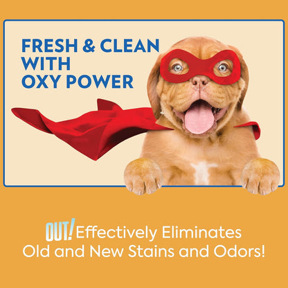 OUT! PetCare Complete Oxy Pet Stain and Odor Remover, Oxy Orange Cleaner Spray, Stain and Odor Eliminator, Pet Carpet Cleaner, Urine Remover and Odor Neutralizer, Safe, Effective, 32 fl oz