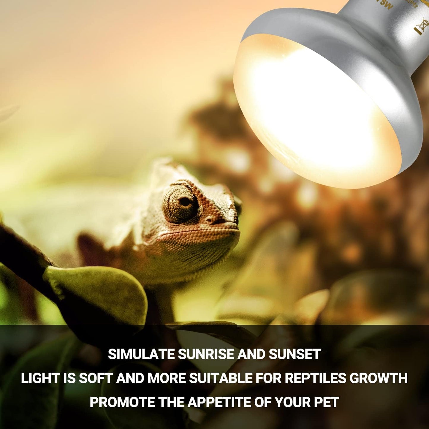 REPTIZOO 75W Reptile Heat Lamp Bulb, 2PCS Day & Night Basking Spot Light Combo Pack Includes Infrared Heat Lamp and UVA Daylight Heating Lamp Basking Light