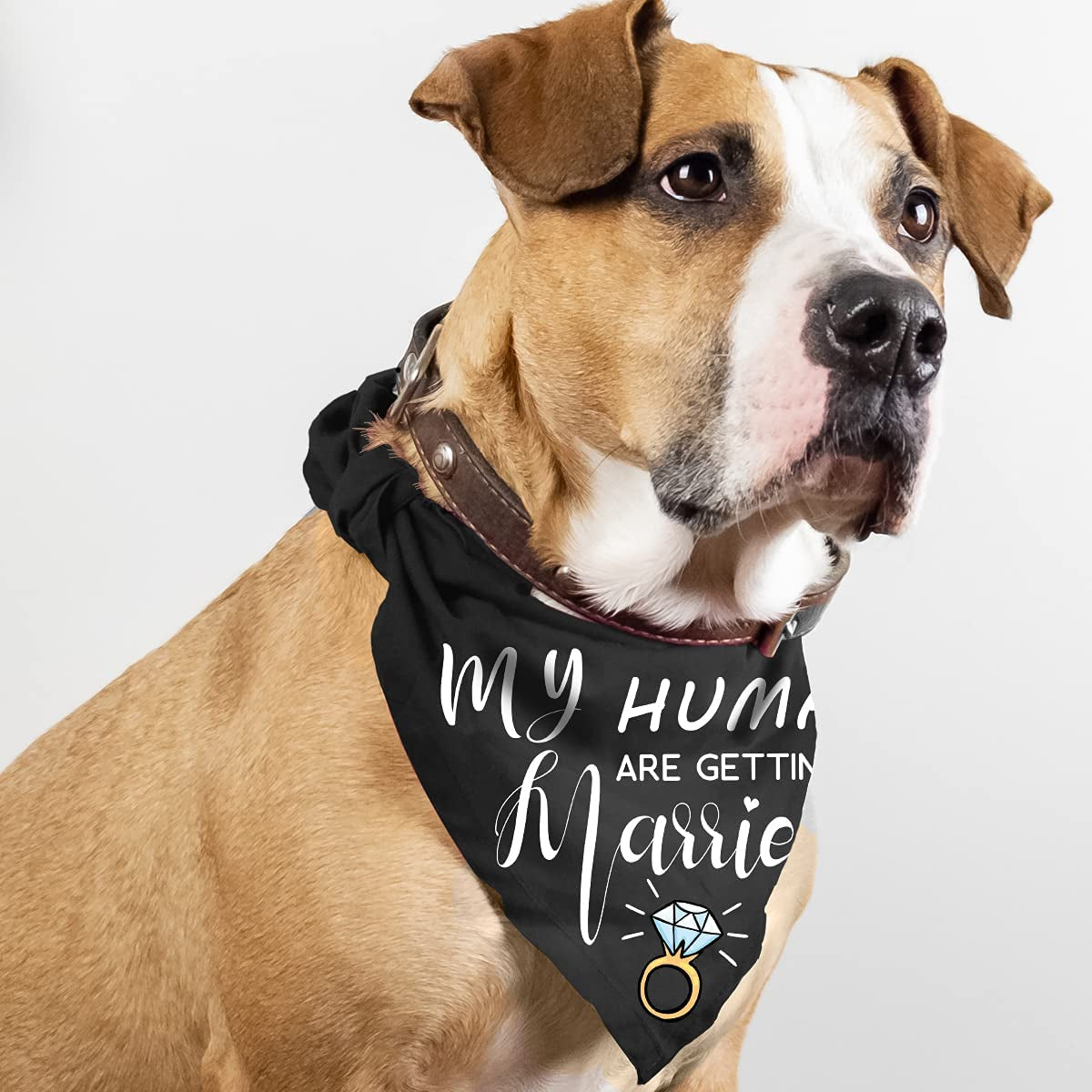 Engagement Gifts, My Humans are Getting Married She Said Yes Dog Bandana for Wedding Engagement Photos, Bridal Shower Gift,Dog Wedding Outfit, Dog Engagement Announcement, Bride to Be Gifts