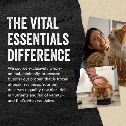 Vital Essentials Freeze Dried Raw Single Ingredient Cat Treats, Chicken Breast, 1 Oz