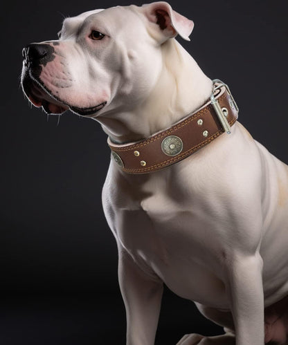 Leather Dog Collar, 2 inches Wide Heavy Duty Genuine Leather Collars, Handmade, Soft, and Luxury, Eye-catching Best Choice for Large and Medium Breed Dogs 19.5-23.5 inches