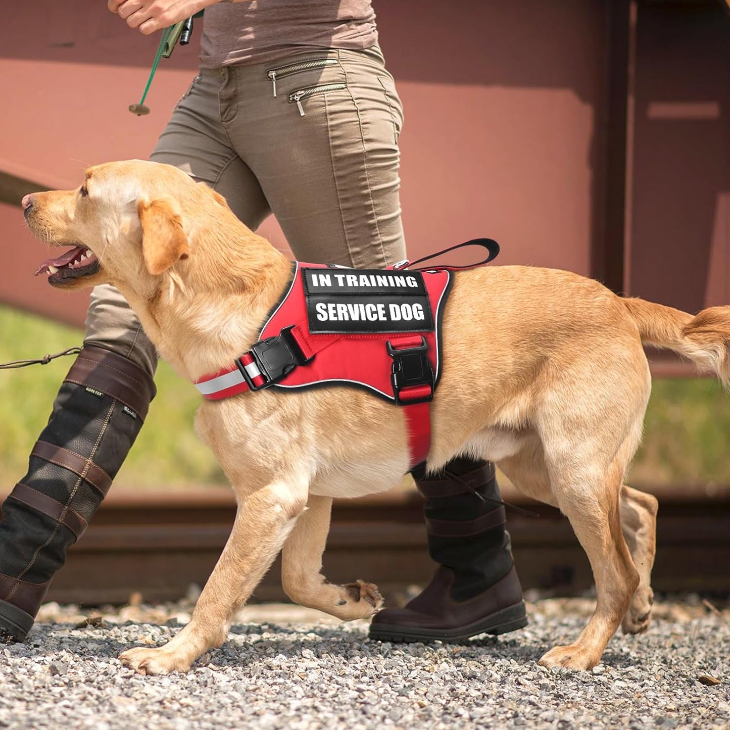 Service Dog Vest Harness and Leash Set+10 Patches,No Pull&Adjustable Reflective Dog Harness with Soft Padded Handle for Training/Everyday,Fit Small/Medium/Large/Extra-Large Dogs(Red M)