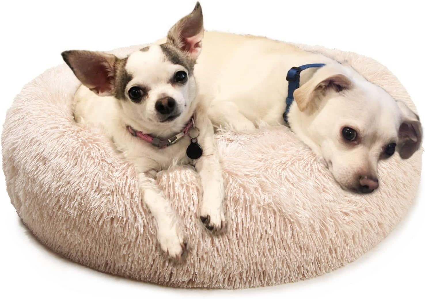 Small Dog Bed Calming Dogs Bed for Small Medium Large Dogs Anti-Anxiety Puppy Bed Machine Washable Warming Cozy Soft Pet round Bed Fits up to 10-100 Lbs (Medium (Pack of 1), Beige)