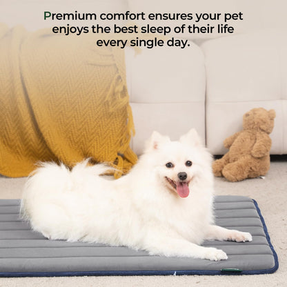 BALANCE Dog Crate Pad, Dog Foam Crate Mat Kennel Pad, Washable Water-Resistant Pet Bed Flat Dog Cage Mat for Small Dogs