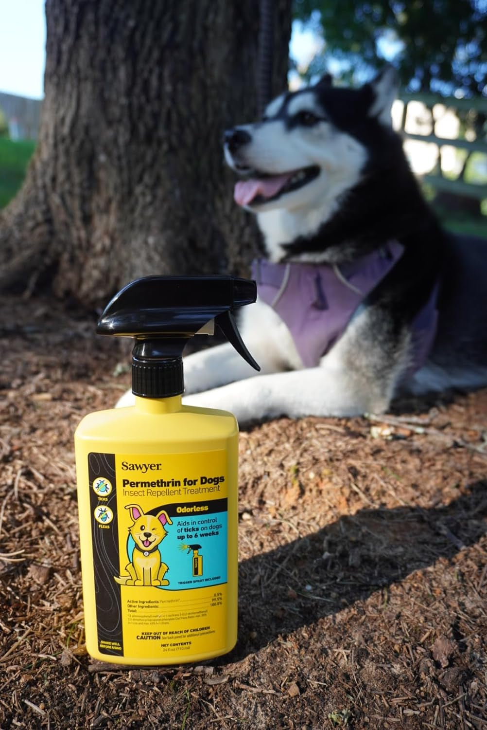 Sawyer Products SP624 Permethrin, Permethrin for Dogs Insect Repellent Treatment