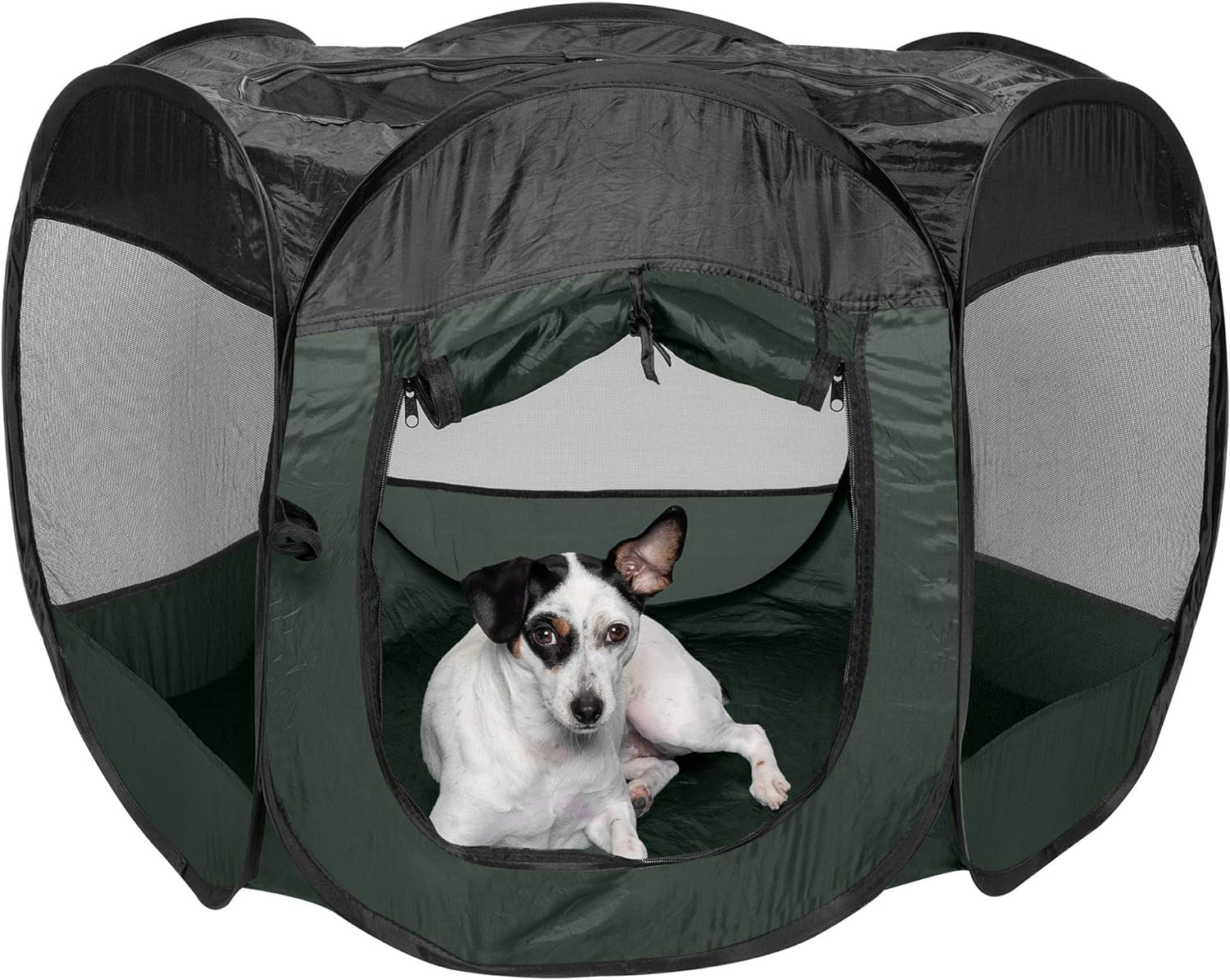 Furhaven Pop up Playpen Pet Tent Playground - Hunter Green, Medium