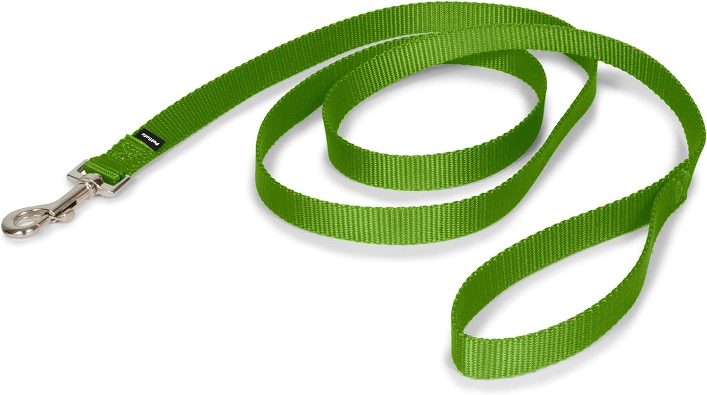 Petsafe Nylon Dog Leash - Strong, Durable, Traditional Style Leash with Easy to Use Bolt Snap - 3/4 In. X 6 Ft., Apple Green