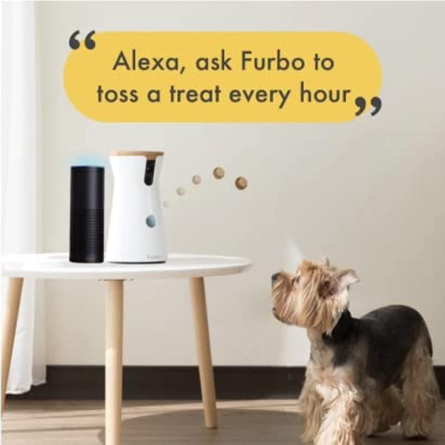 Furbo Dog Camera: Treat Tossing, Full HD Wifi Pet Camera and 2-Way Audio, Designed for Dogs, Compatible with Alexa (As Seen on Ellen)