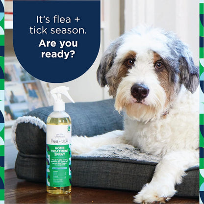 Natural Flea and Tick 3-Step Kit - Flea and Tick Spray for Dogs, Flea Spray for Home, and Flea and Tick Shampoo for Dogs - Plant-Based Flea and Tick Kit - Made in USA - 3-Step Kit