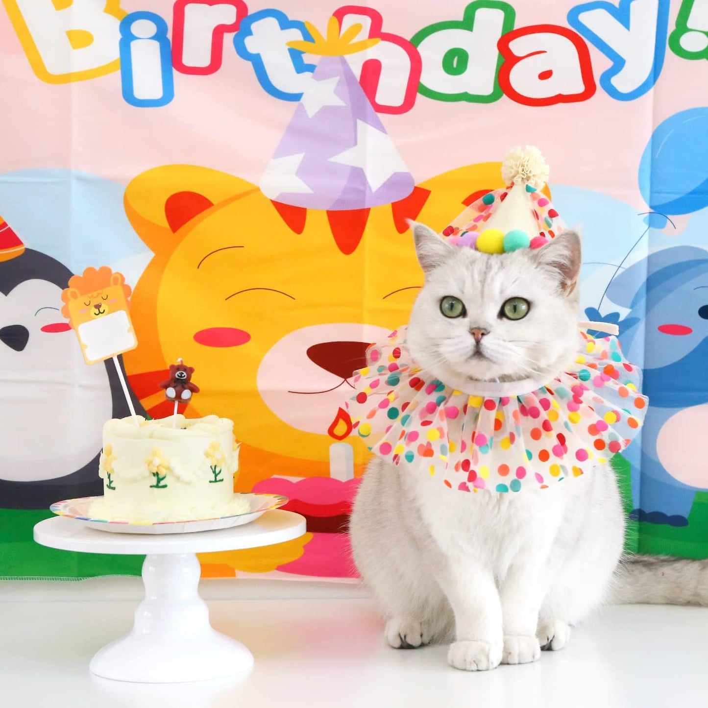 Cat Birthday Bandana Scarf and Party Hat Cute Tassels Bib Scarf and Birthday Hat Cat Birthday Party Decorations Set