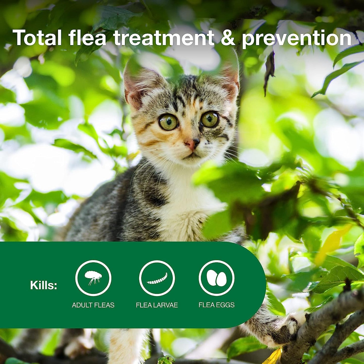 Advantage II Kitten Vet-Recommended Flea Treatment & Prevention | Cats 2-5 Lbs. | 2-Month Supply