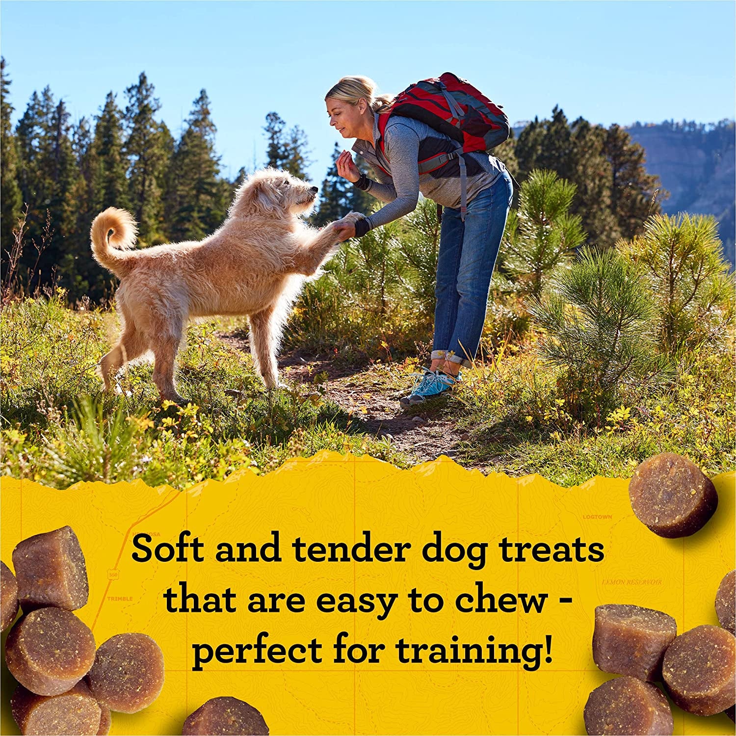 Zuke’S Mini Naturals Soft and Chewy Dog Treats for Training Pouch, Natural Treat Bites with Beef Recipe - 6.0 OZ Pouch