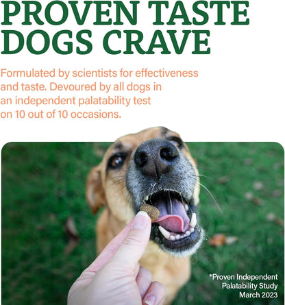 Doggie Dailies Glucosamine for Dogs – 120 Chews – Dog Joint Supplement with Chondroitin, Green Lipped Mussel, Turmeric & Bioprine - Premium Senior Dog Supplements to Help Keep Your Dog Active