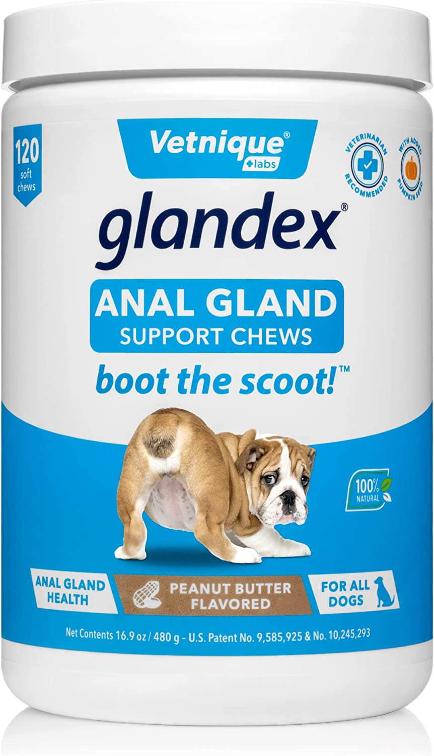 Glandex Anal Gland Soft Chew Treats with Pumpkin for Dogs Digestive Enzymes, Probiotics Fiber Supplement for Dogs Boot the Scoot (Peanut Butter Chews, 120Ct)