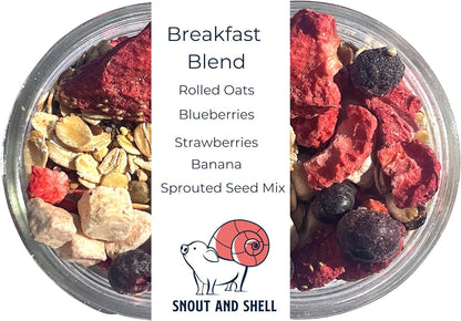 Snout and Shell Fruity Breakfast Blend Hermit Crab Dry Food - High Protein & Nutrient Blend Diet of Rolled Oats, Blueberries, Strawberry, Banana, Sprouted Seeds Mix - Aquatic Pet Snack Treat | 65g