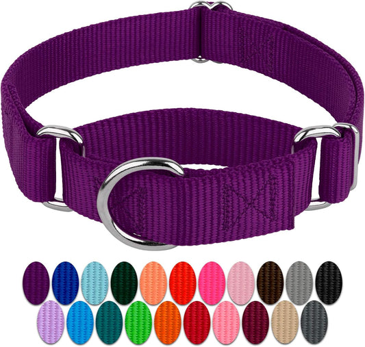 Country Brook Design - Purple Martingale Heavy Duty Nylon Dog Collar - 21 Vibrant Color Options (1 Inch Width, Medium)