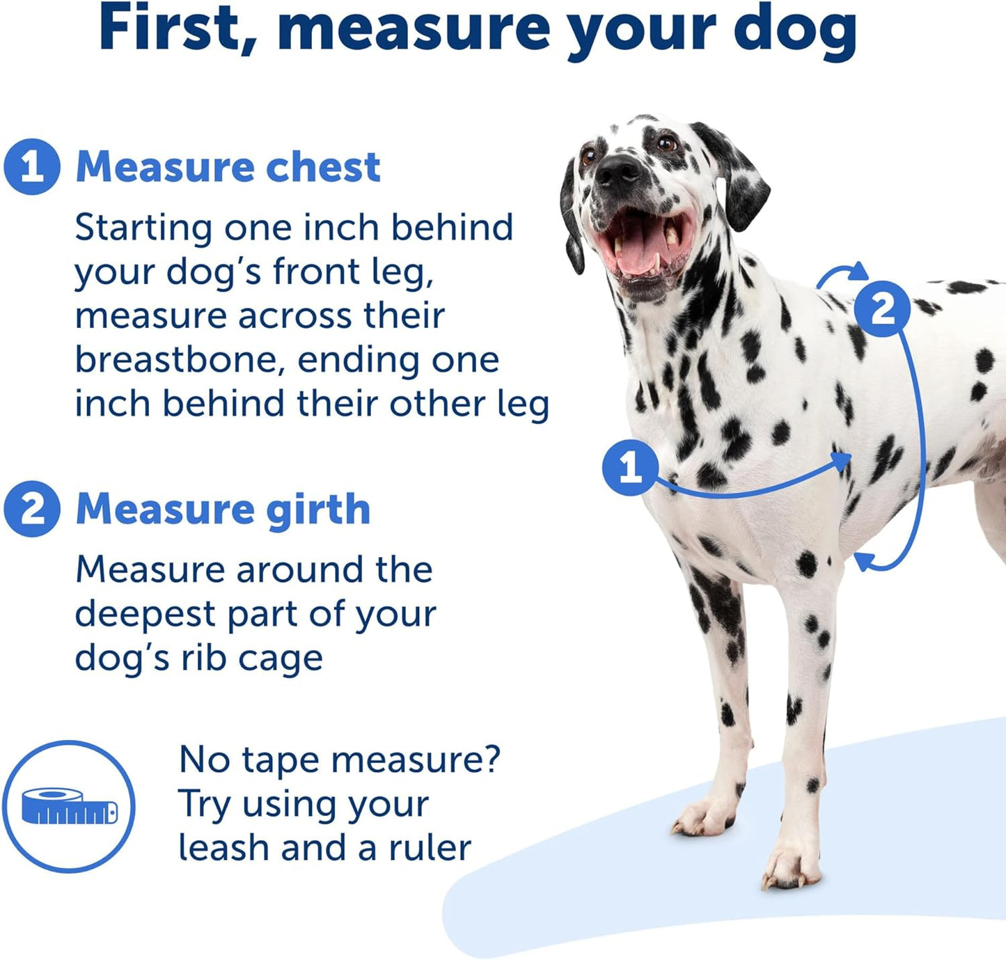 Petsafe Easy Walk No-Pull Dog Harness - the Ultimate Harness to Help Stop Pulling - Take Control & Teach Better Leash Manners - Helps Prevent Pets Pulling on Walks, Small, Teal