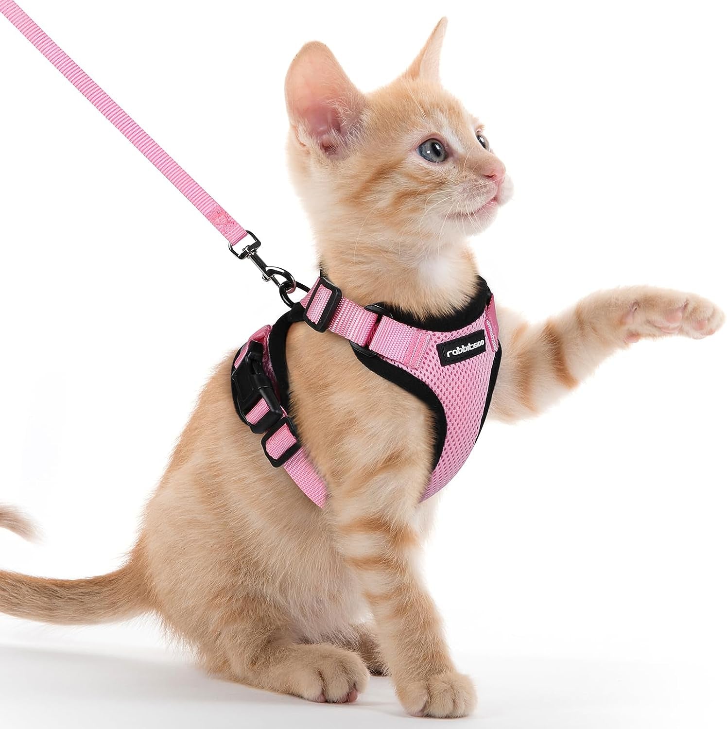 Rabbitgoo Cat Harness and Leash for Walking, Escape Proof Soft Adjustable Vest Harnesses for Cats, Easy Control Breathable Reflective Strips Jacket, Pink, XXS