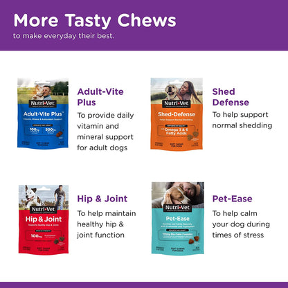 Nutri-Vet Pre and Probiotic Soft Chews for Dogs | Digestive Health Support | Tasty Alternative to Probiotic Powder | 120 Soft Chews