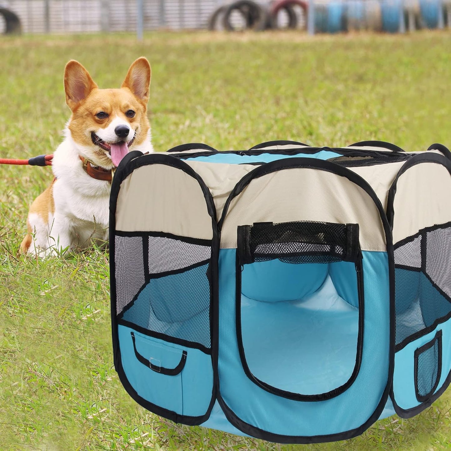 Pet Puppy Dog Playpen Cat Playpen Small Dog Cat Tent Crates Cage Pet Cat Playpen Portable Foldable Dog Playpen Indoor Outdoor Pet Tent Playground 29X16 Pop up Pet Play Pen (29X16 Blue