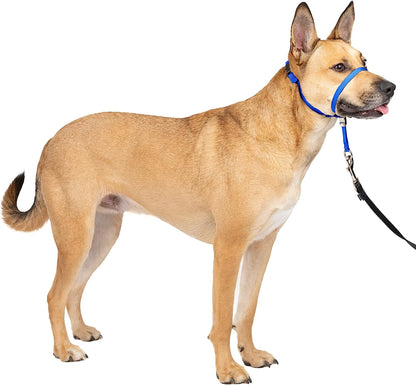 Petsafe Gentle Leader No-Pull Dog Headcollar - the Ultimate Solution to Pulling - Redirects Your Dog'S Pulling for Easier Walks - Helps You Regain Control - Medium , Royal Blue