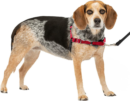 Petsafe Easy Walk No-Pull Dog Harness - the Ultimate Harness to Help Stop Pulling - Take Control & Teach Better Leash Manners - Helps Prevent Pets Pulling on Walks - Small/Medium, Red/Black