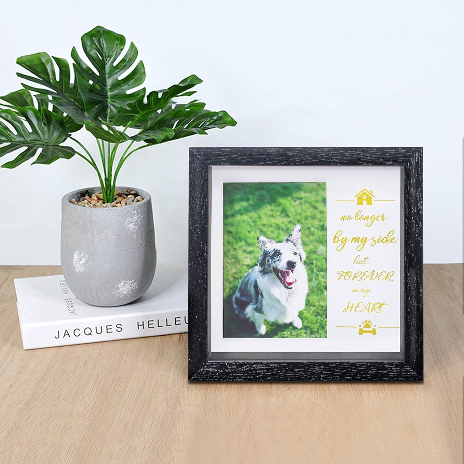 Kcrasan Pet Picture Frame Memorial - Dog Memorial Sentiment Frame for Loss of Dog Gifts - Pet Collar Frame Remembrance Sympathy Dog or Cat Tribute Keepsake