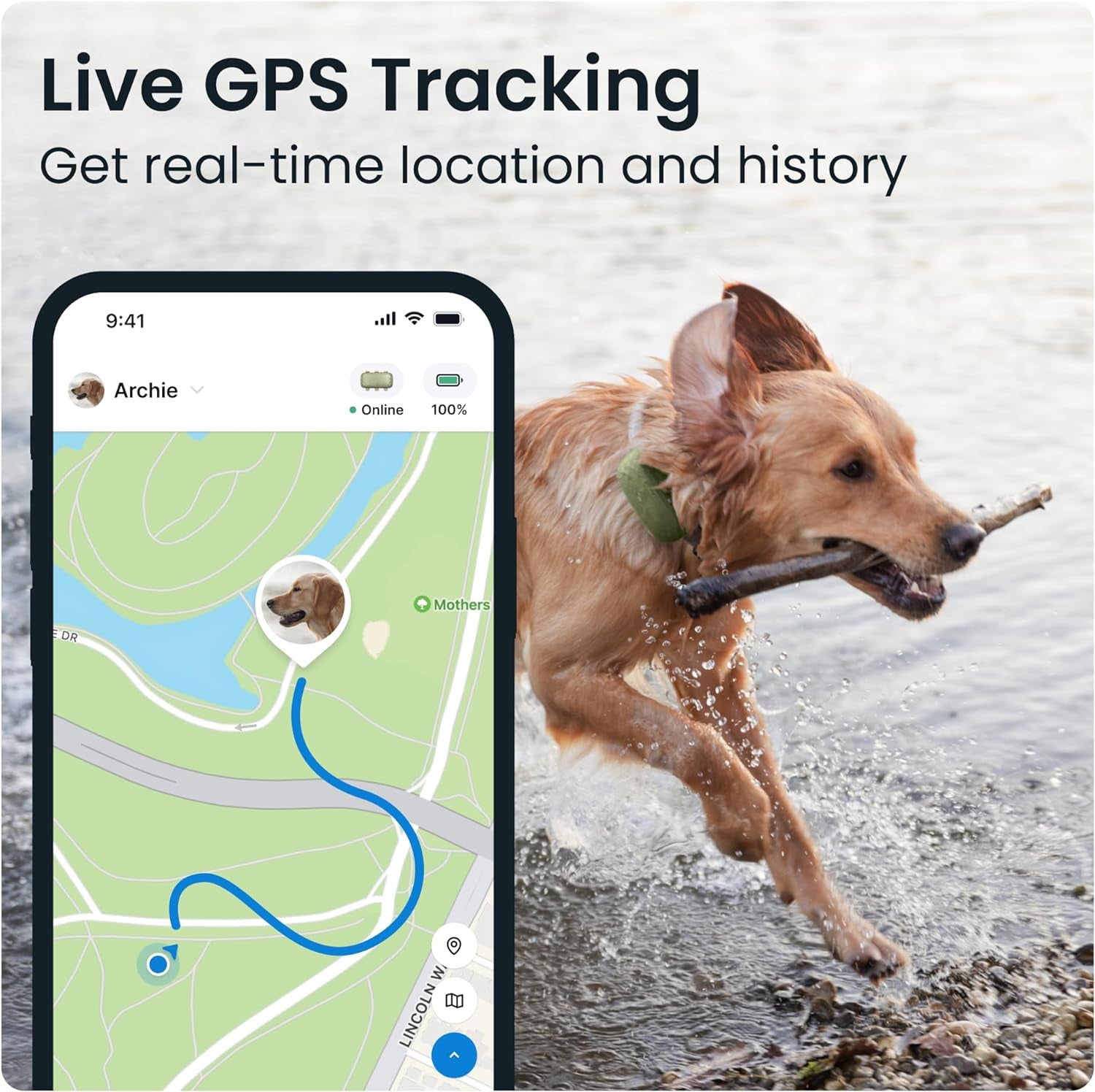 Tractive XL GPS Tracker & Health Monitoring for Dogs (50 Lbs+) - Market Leading Pet GPS Location Tracker | Wellness & Escape Alerts | Waterproof | Works with Any Collar (Adventure Edition)