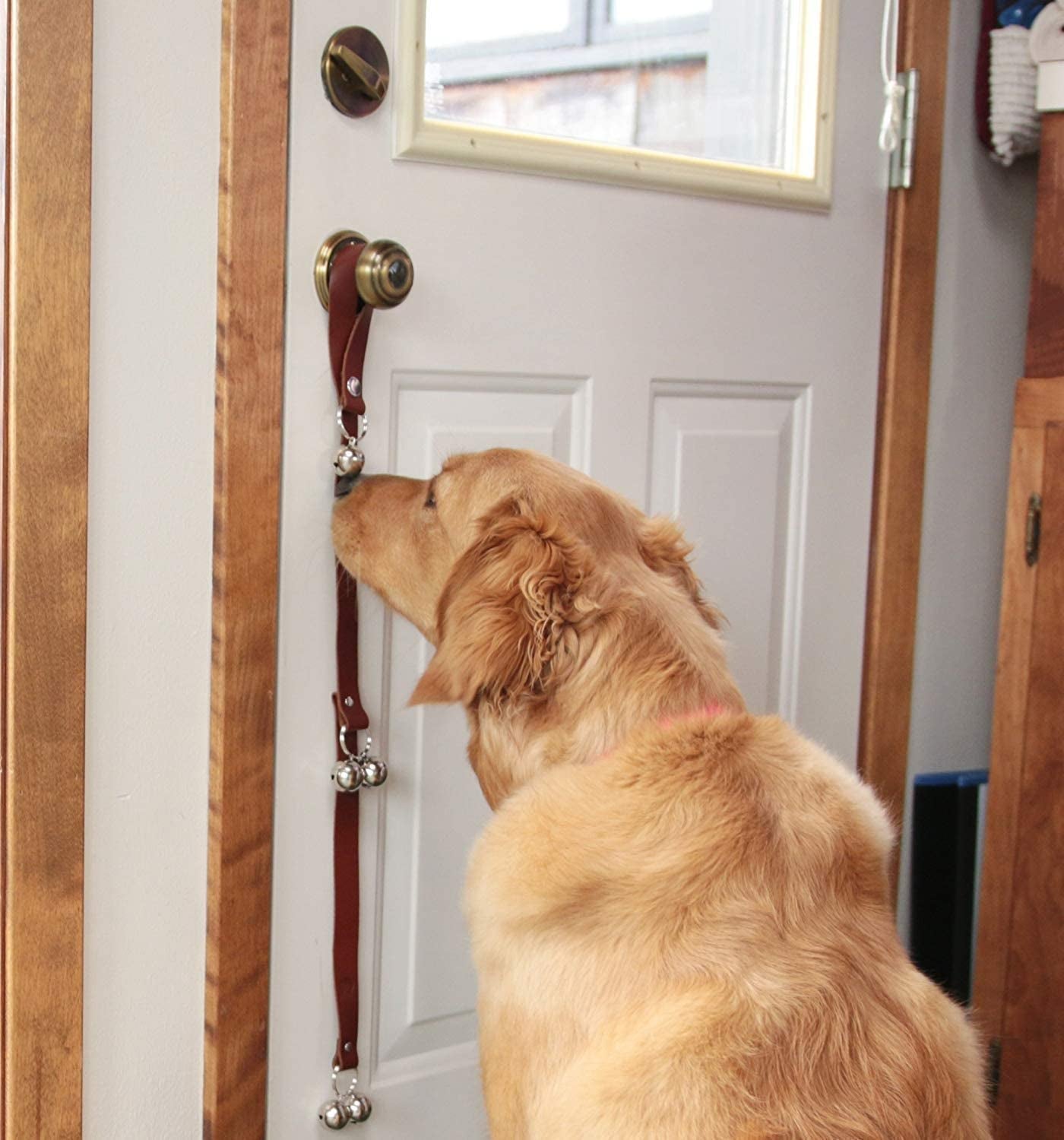 Leather Dog Doorbells for Door Knob/Potty Training/Go Outside, Length Adjustment Copper Dog Bell, Housetraining Hanging Bell, Red Leather Golden Bells.