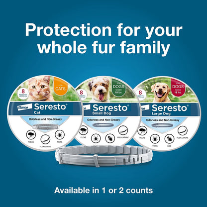 Seresto Cat Vet-Recommended Flea & Tick Treatment & Prevention Collar for Cats | 8 Months Protection