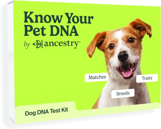 Ancestrydna Know Your Pet DNA: Dog DNA Breed Identification Test, Genetic Traits, DNA Matches, Dog DNA Test