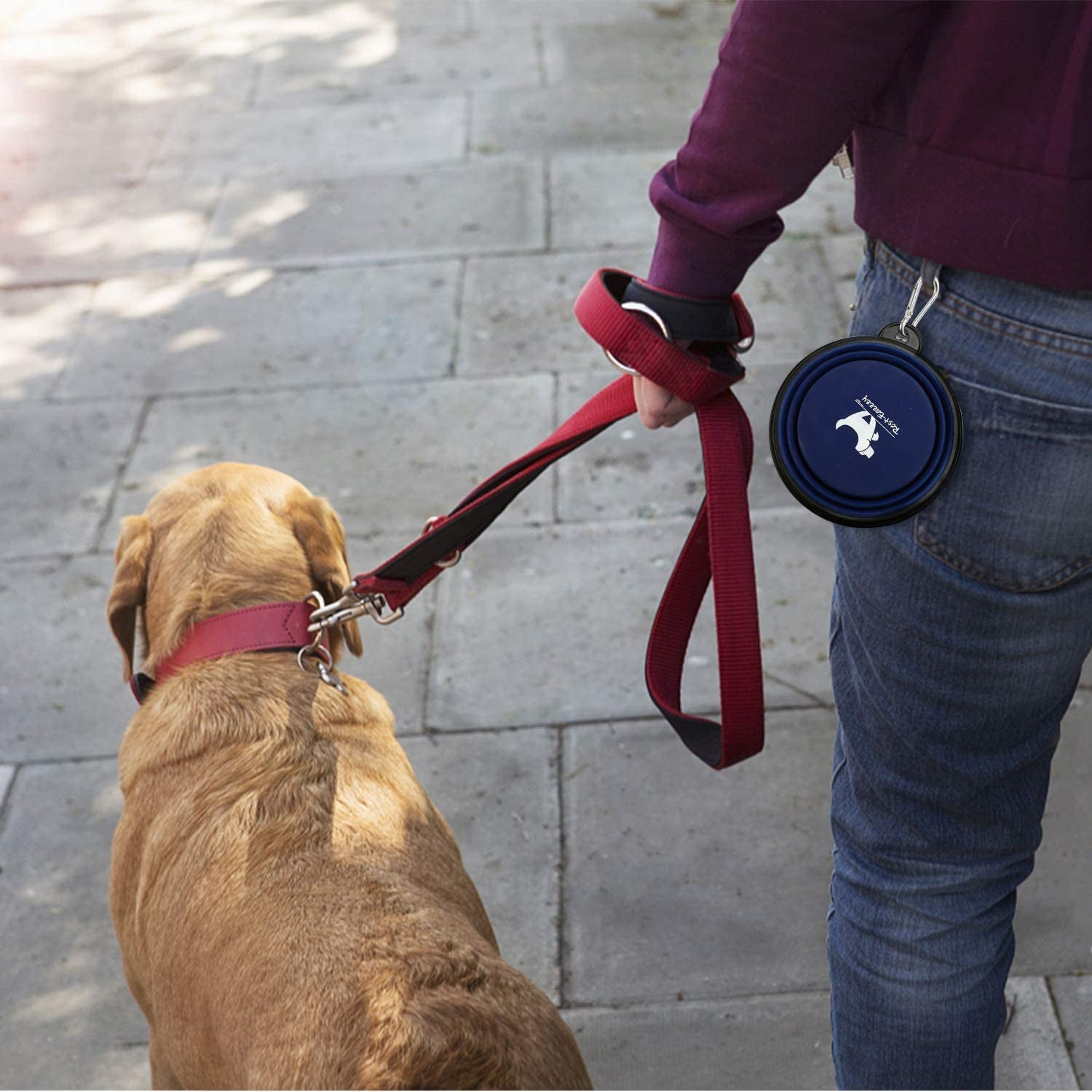 Rest-Eazzzy Collapsible Dog Bowls for Travel, 2-Pack Dog Portable Water Bowl for Dogs Cats Pet Foldable Feeding Watering Dish for Traveling Camping Walking with 2 Carabiners, BPA Free