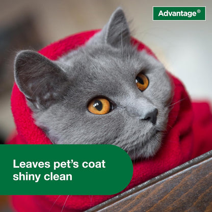 Advantage Cat Flea & Tick Shampoo for Kittens & Adult Cats | Kills Fleas & Ticks | 8 Oz.