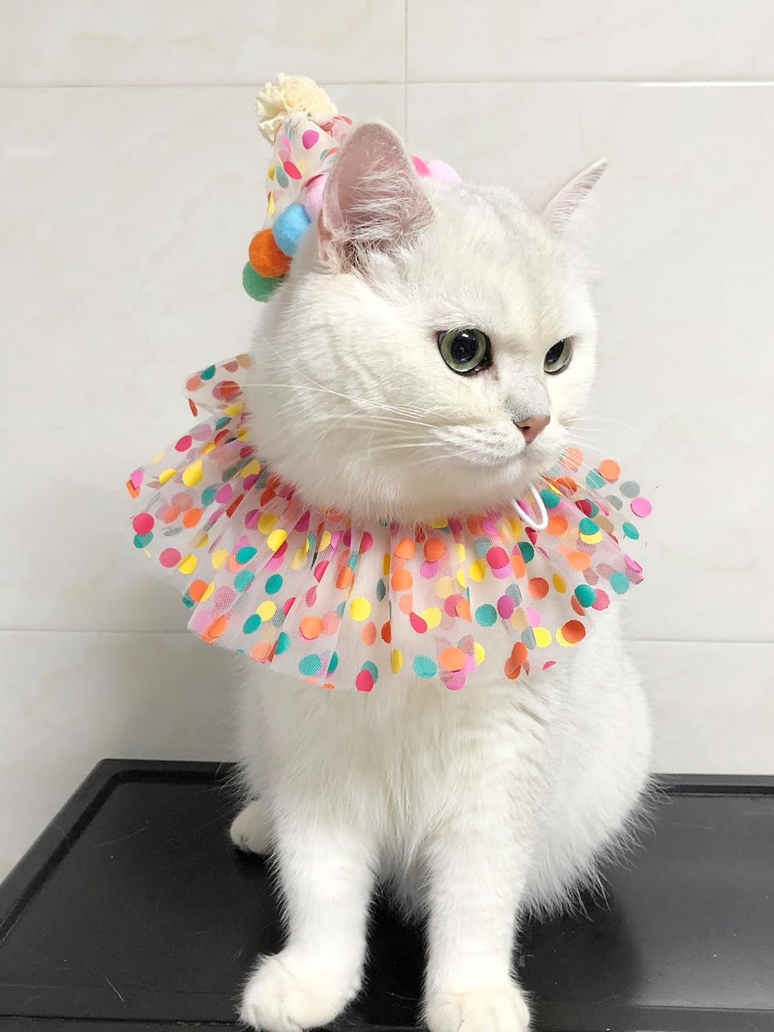 Cat Birthday Bandana Scarf and Party Hat Cute Tassels Bib Scarf and Birthday Hat Cat Birthday Party Decorations Set