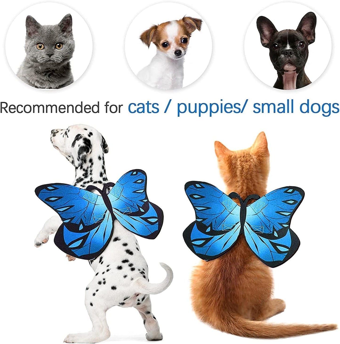 Cat Dog Butterfly Costume Wings for Halloween Party Decoration, Halloween Dog Cat Costume, Puppy Cat Dress up Accessories (Blue)