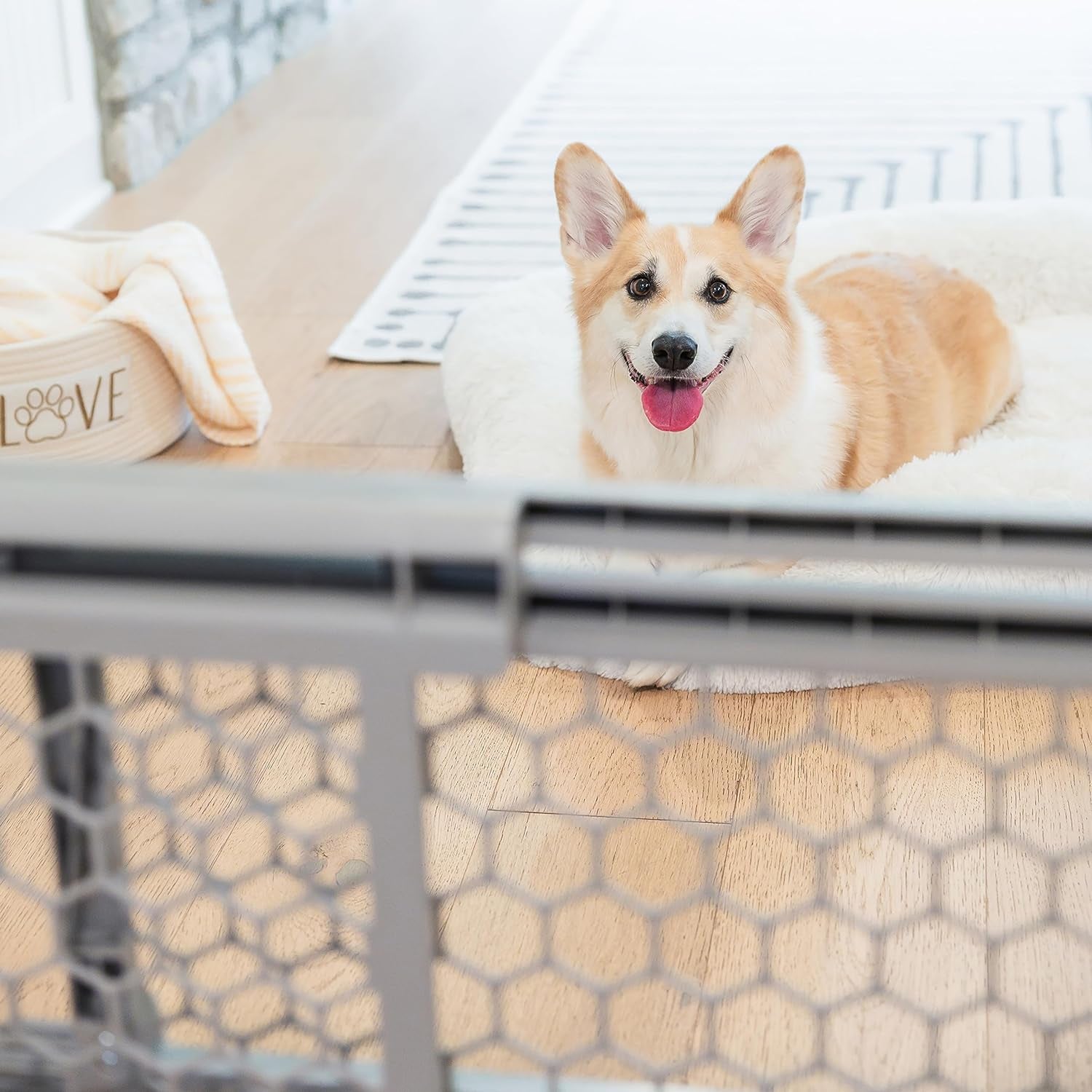 Carlson Pet Easy Fit Portable Pet Gate, Fits Openings 28-42" Wide, 23" Tall, Rubber Pads to Protect Walls, Durable Dog Gate for Doorways, Patented Pressure Mount Ensures Perfect Fit 28-42" Wide, Gray