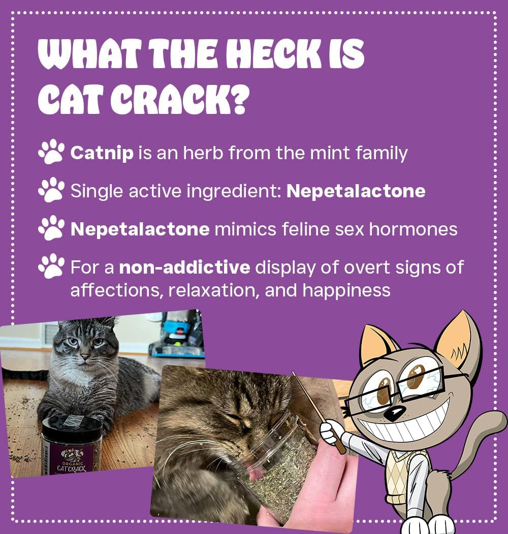 Cat Crack Catnip, Zoomie-Inducing Cat Nip Blend, North American Made & 100% Natural, Safe & Non-Addictive Catnip Treats Used to Supplement Catnip Toys, Catnip Spray, & Cat Accessories (20 Cups)