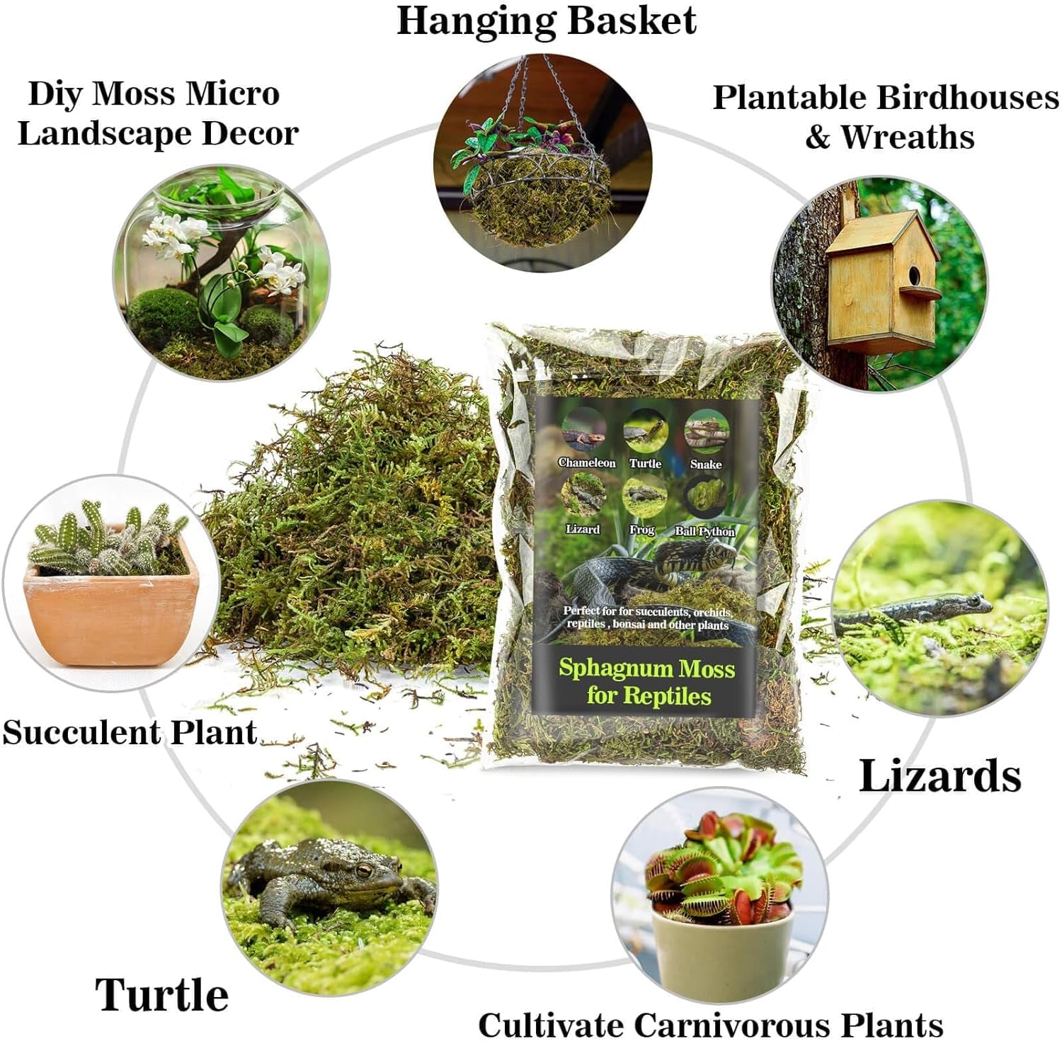 Sukh Sphagnum Moss for Reptiles - Terrarium Moss for Reptiles Peat Moss for Reptiles Habitat Bedding Moss for Snakes Turtle Frog Gecko and Other Reptiles Substrate (3, Ounces)