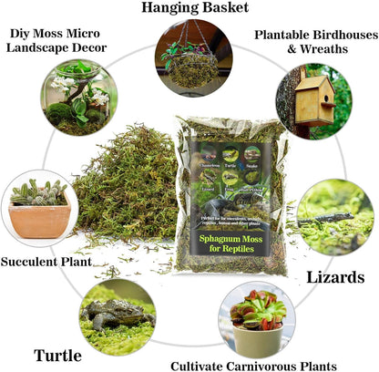 Sukh Sphagnum Moss for Reptiles - Terrarium Moss for Reptiles Peat Moss for Reptiles Habitat Bedding Moss for Snakes Turtle Frog Gecko and Other Reptiles Substrate (3, Ounces)