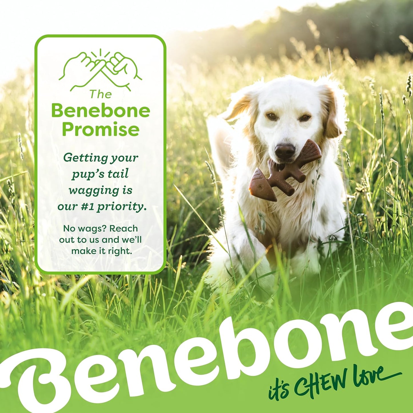 Benebone Small 4-Pack Dog Chew Toys for Aggressive Chewers, Made in USA, 30Lbs and Under