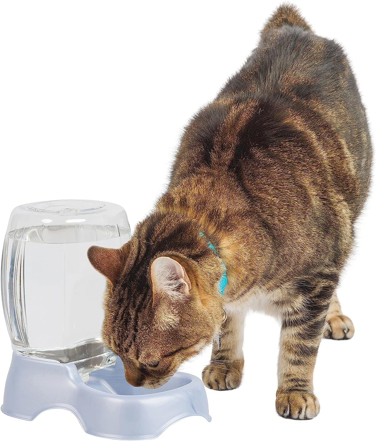 Petmate Pet Cafe Waterer Cat and Dog Water Dispenser, Pearl Silver Gray, 0.25 GAL (24436), Made in USA