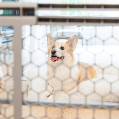 Carlson Extra Wide Walk through Pet Gate with Small Pet Door, Includes 4-Inch Extension Kit, Pressure Mount Kit and Wall Mount Kit,White