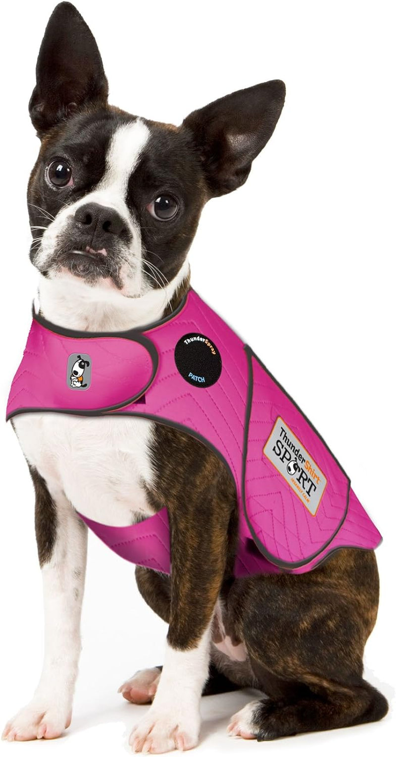 Thundershirt Dogs Clothing Thundershirt Dog Anxiety Jacket, Fuchsia, X-Small