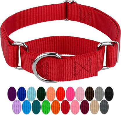 Country Brook Petz - Red Martingale Heavy Duty Nylon Dog Collar - 21 Vibrant Color Options (3/8 Inch Width, Micro)