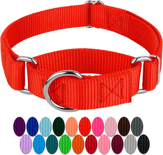 Country Brook Petz - Hot Orange Martingale Heavy Duty Nylon Dog Collar - 21 Vibrant Color Options (1 Inch Width, Extra Large)