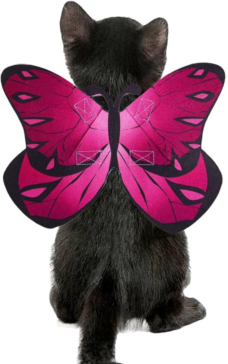 Cat Dog Butterfly Costume Wings for Halloween Party Decoration, Halloween Dog Cat Costume, Puppy Cat Dress up Accessories