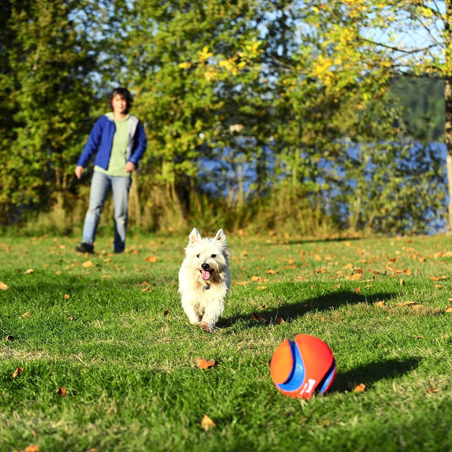 Chuckit! Kick Fetch Ball Dog Toy, Large (8 Inch) & Indoor Fetch Ball Dog Toy (4.75 Inch), Orange and Blue