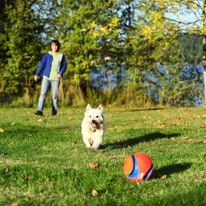 Chuckit! Kick Fetch Ball Dog Toy, Large (8 Inch) & Indoor Fetch Ball Dog Toy (4.75 Inch), Orange and Blue